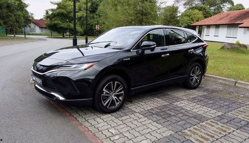 国产20p,引领科技潮流的创新之作  第3张