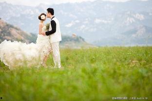 青青青草国产免费观看,国产免费观看，绿色生态影视盛宴  第3张